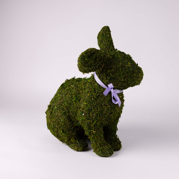 Large Moss Rabbit