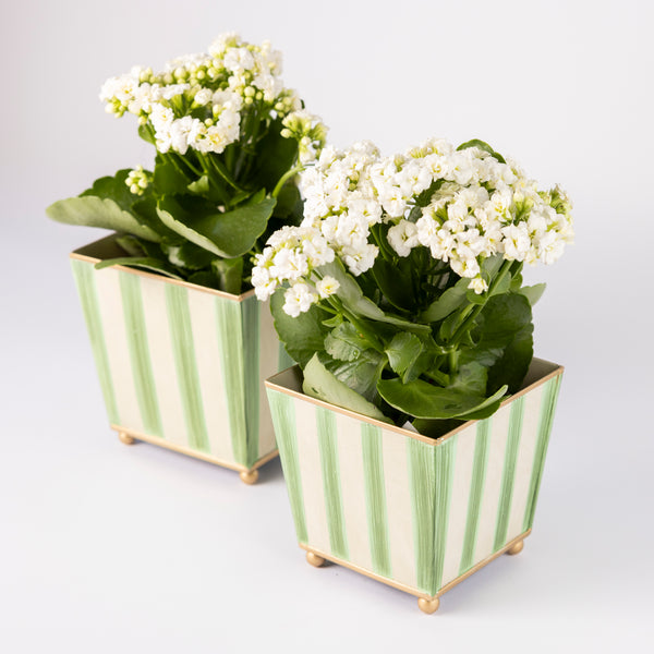 Green Striped Tapered Planters (set of two)