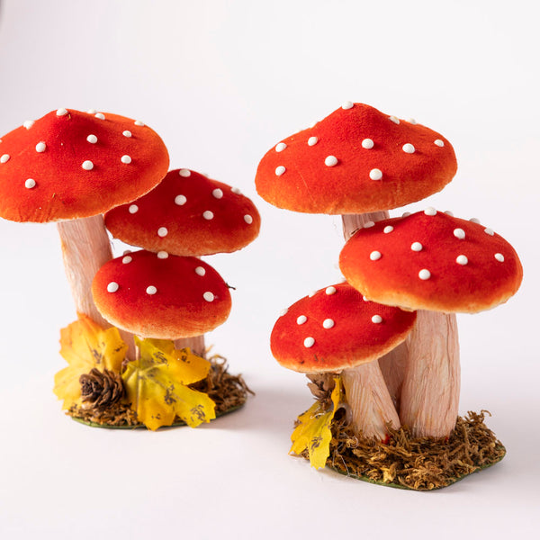 Small Toadstools